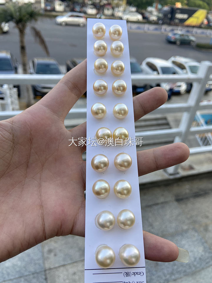 干枯玫瑰_有机宝石