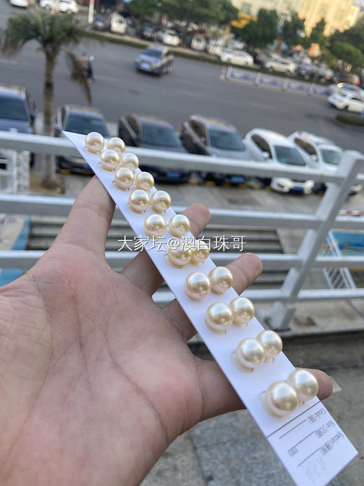干枯玫瑰_有机宝石