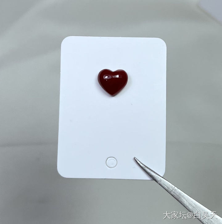 日本阿卡 尺寸8.5/7.5mm_珊瑚