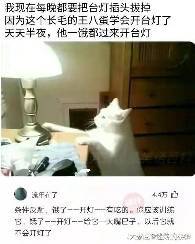 每天一乐~_闲聊