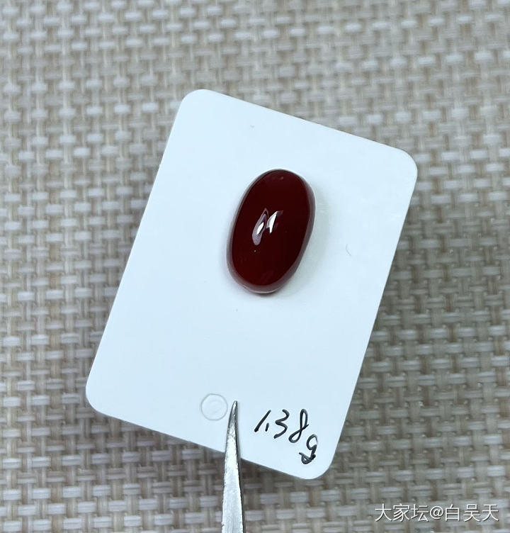 日本阿卡蛋面 尺寸9.3/14.8mm 重1.38g_珊瑚