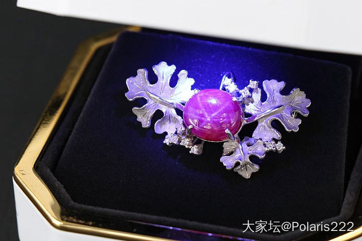 星光红宝石胸针_红宝石