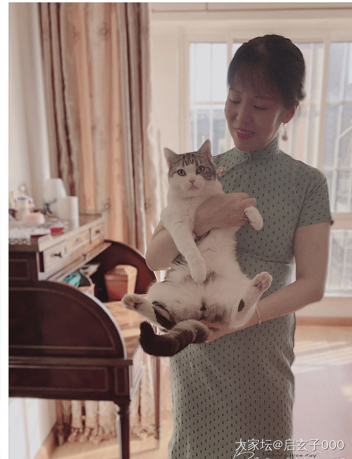 我家小可爱_猫