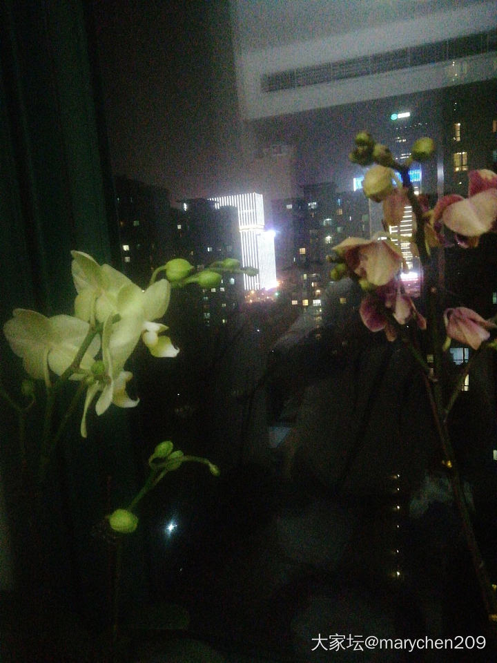 小小的快乐_花