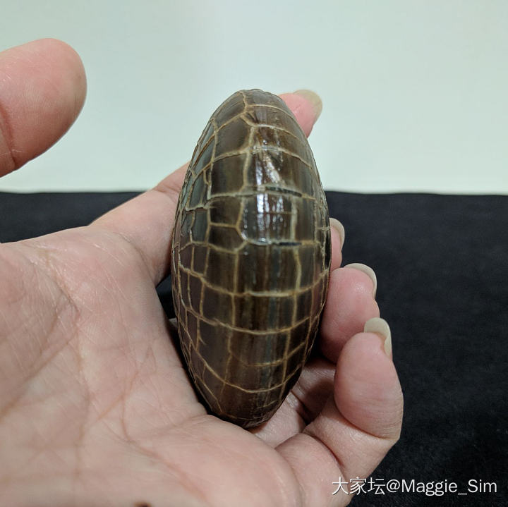 龟纹石_原石
