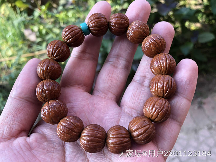 俺的小猴头核桃_核桃