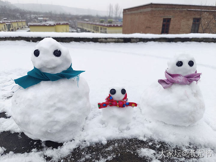 多么接地气的雪人呀呀，一家三口整整齐齐_生活