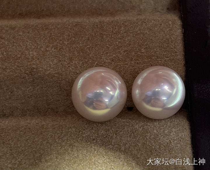 我该怎么选择？_珍珠