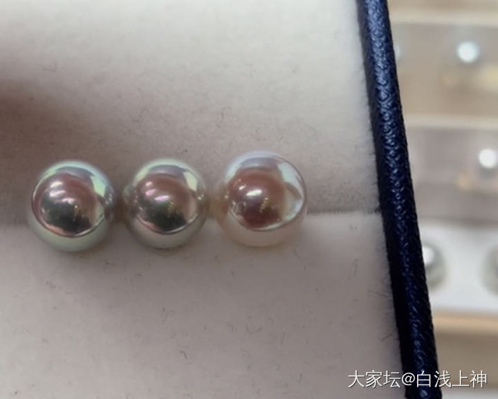 我该怎么选择？_珍珠