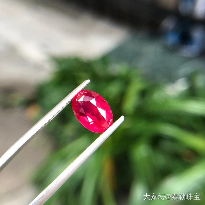 【泰勒彩宝】3.01ct主证无烧鸽血红_红宝石