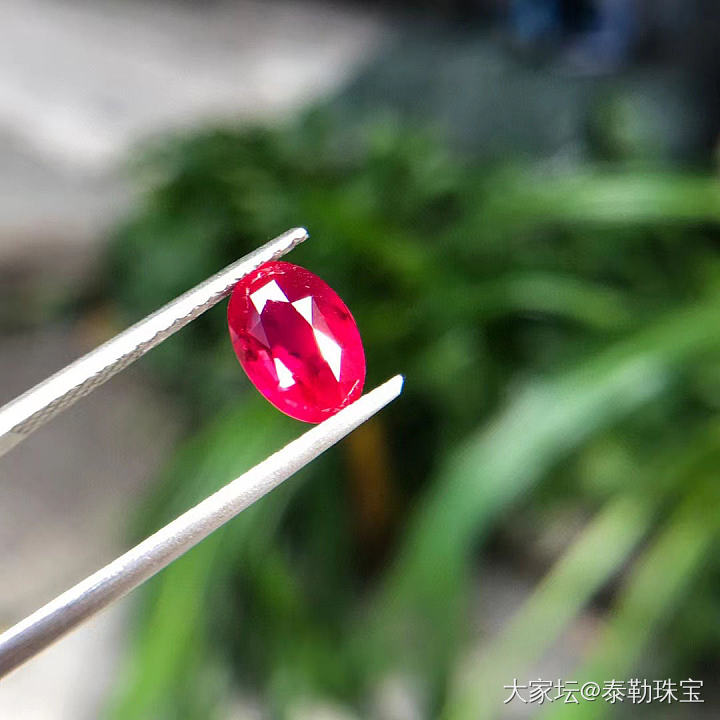 【泰勒彩宝】3.01ct主证无烧鸽血红_红宝石