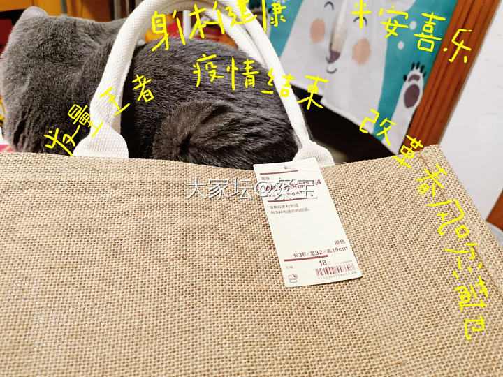 小红书的作业终于抄完了😜_包包