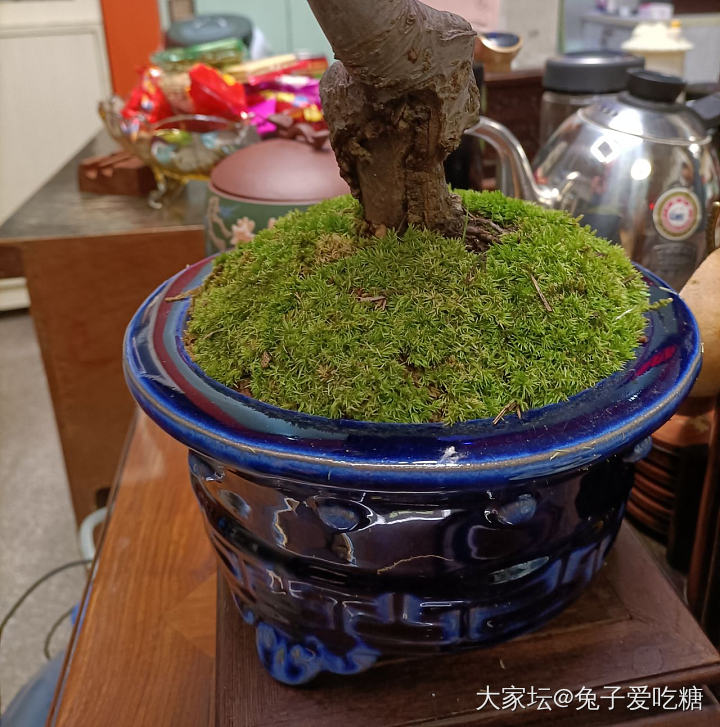 品茶 闻香 盘串_玉髓玛瑙木香道茶道