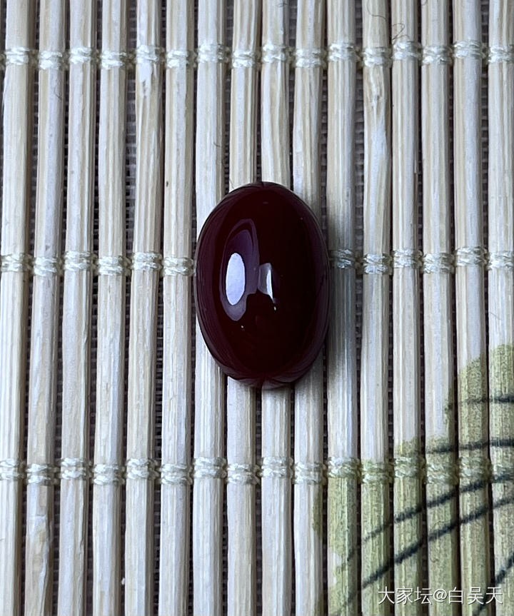 日本阿卡红珊瑚蛋面 尺寸8/12.5mm 2100🉐️_有机宝石