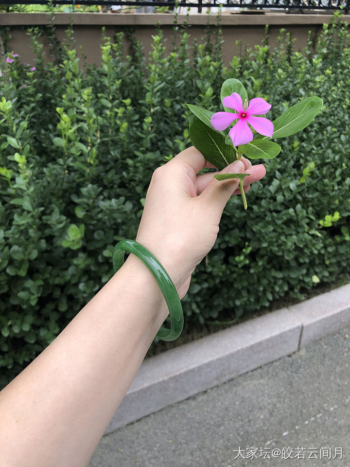 细条碧玉很小清新，适合我_和田玉