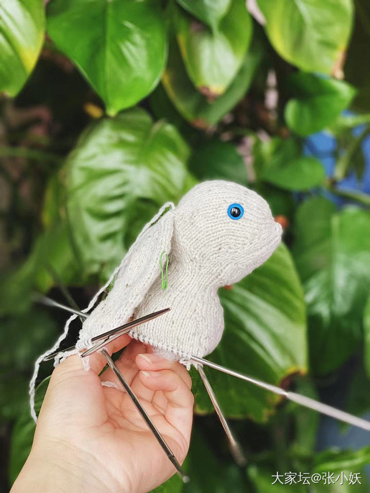 手工日常，针织奥戴尔兔子玩偶~_编织手工diy
