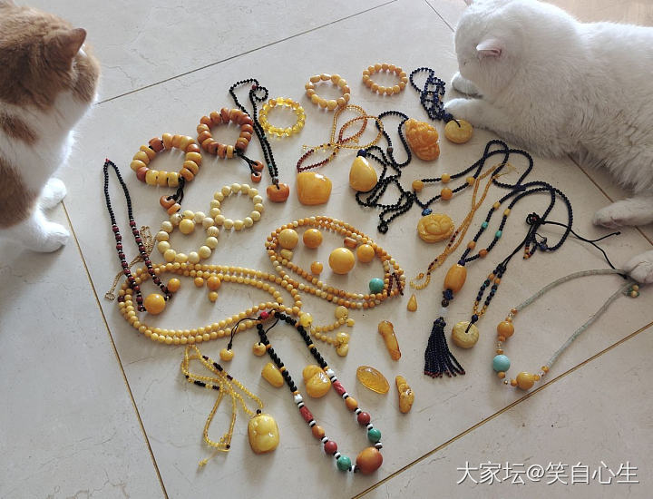 那些年买过的蜜蜡 和两只强行入镜的猫_琥珀蜜蜡