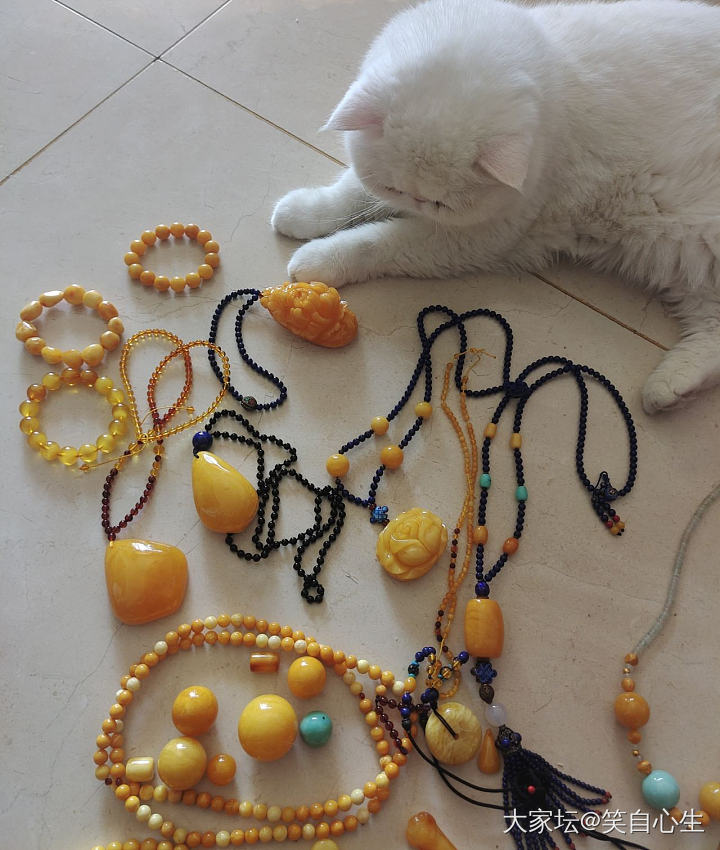 那些年买过的蜜蜡 和两只强行入镜的猫_琥珀蜜蜡