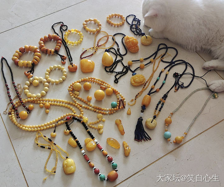 那些年买过的蜜蜡 和两只强行入镜的猫_琥珀蜜蜡