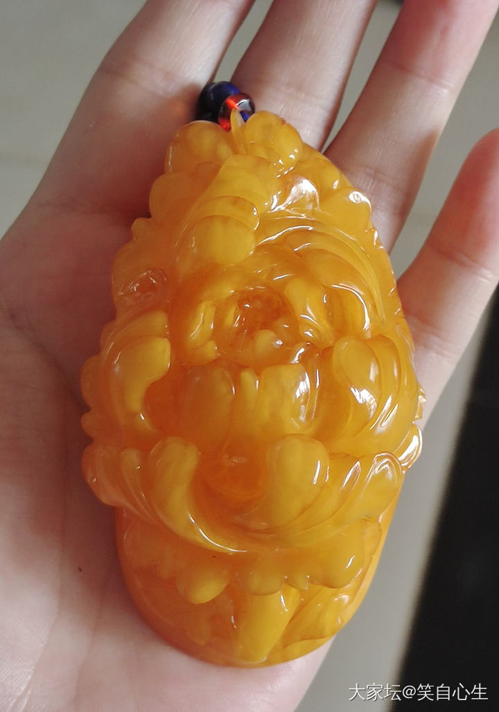 那些年买过的蜜蜡 和两只强行入镜的猫_琥珀蜜蜡