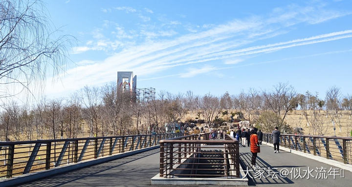 风和日暖，春已归来_景色闲聊