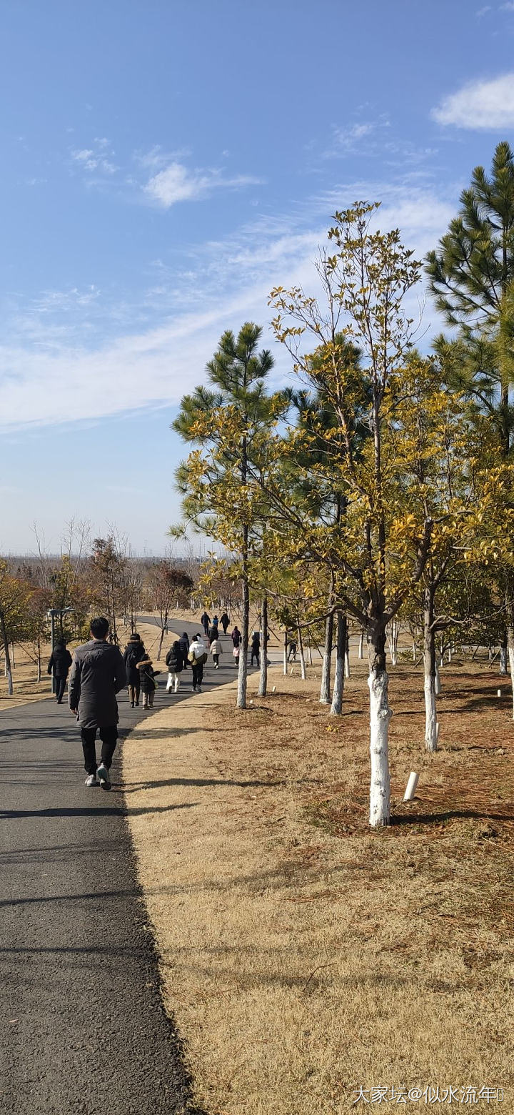 风和日暖，春已归来_景色闲聊