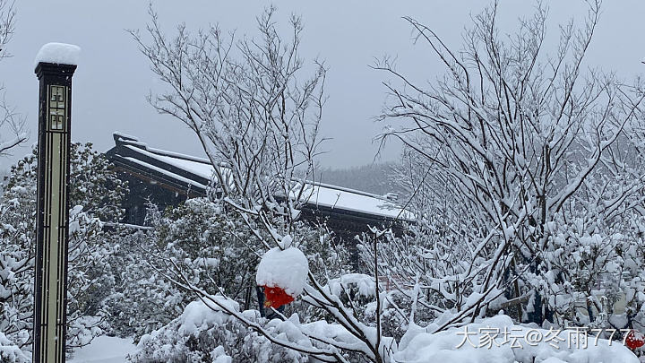 在项目里赏雪_景色