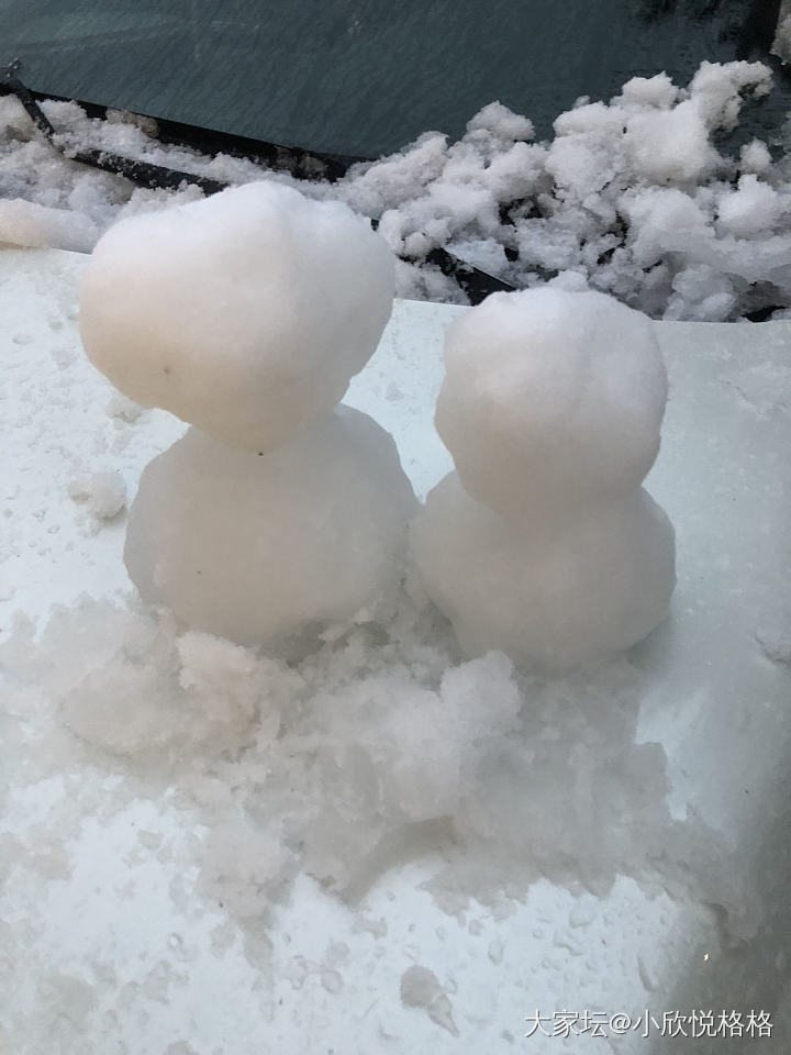 南方孩子们能看到下一天雪还是很激动的，带娃同学们皮了一下午，造型的，策划的......_育教亲子