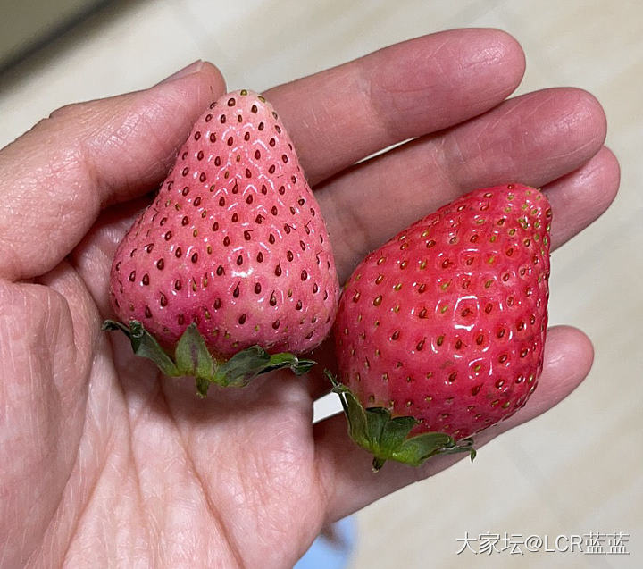 特别的草莓🍓🍓🍓_水果