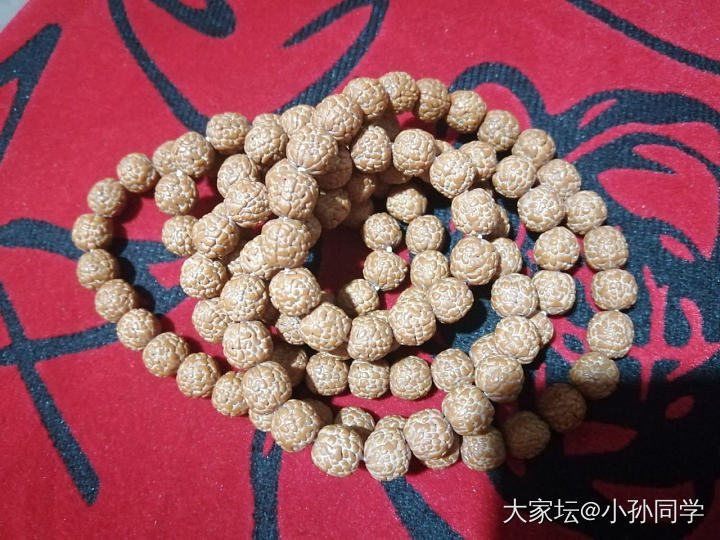 交流_珠串菩提子