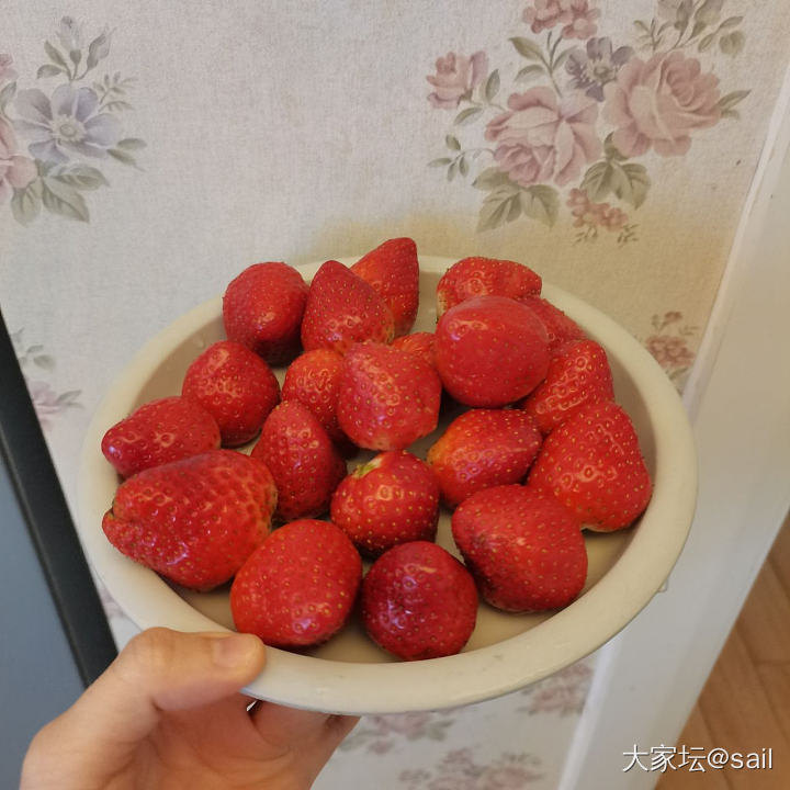 🍓_水果