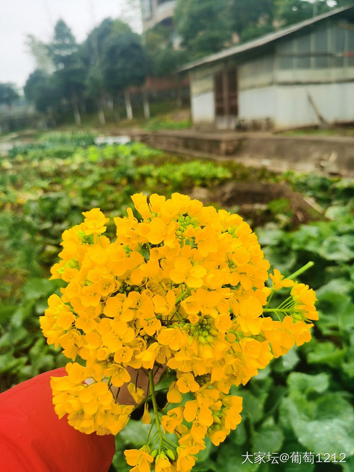 情人节快乐！_节日