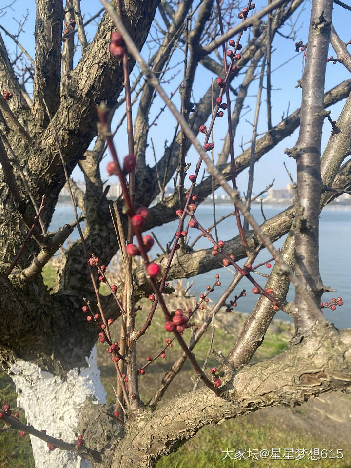 没有礼物带带旧爱！走完了一圈灵湖一小时！太阳真好！_钻石金