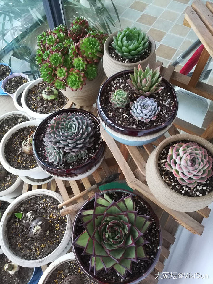 无聊，晒晒珠珠串串_珠串石榴石