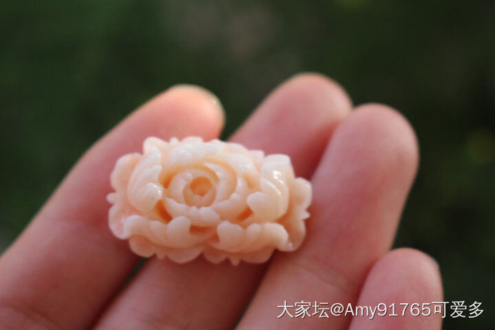 有喜欢珊瑚的坛友吗？珊瑚好保养吗_珊瑚