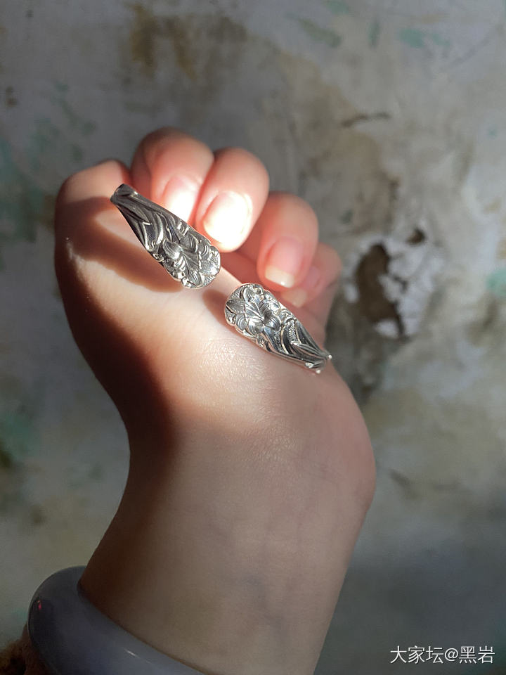 洪家铁线拳新的传人诞生了🤣_手镯银