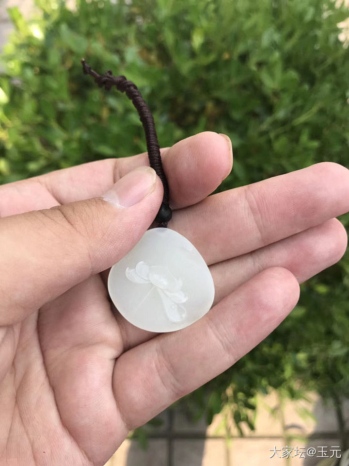 我与顾红老师的玉之缘