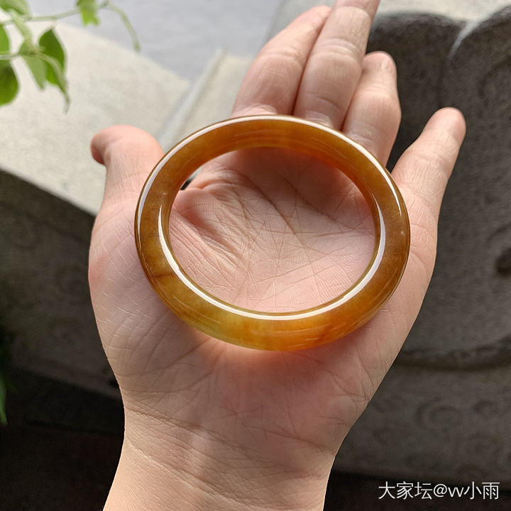 五艳六色翡翠镯子_翡翠