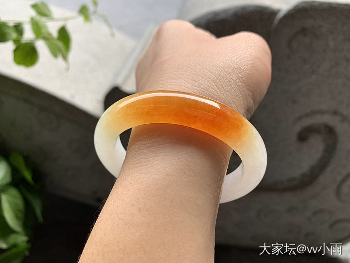 五艳六色翡翠镯子_翡翠