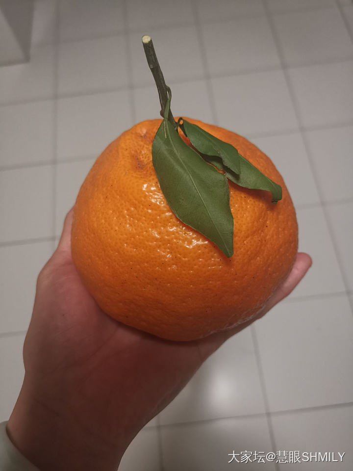 嗯，大橘为重啊，吃了两个，撑_水果