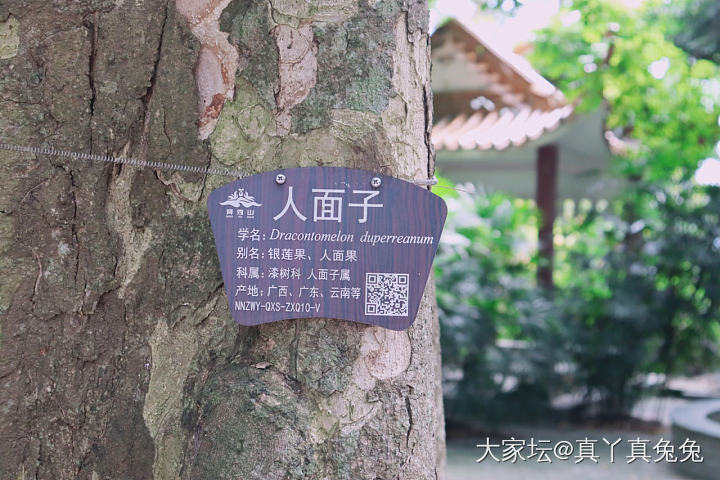 春天花会开