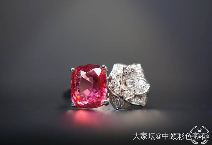 ##中颐天然马亨盖尖晶戒指##  2.59ct_尖晶石彩色宝石