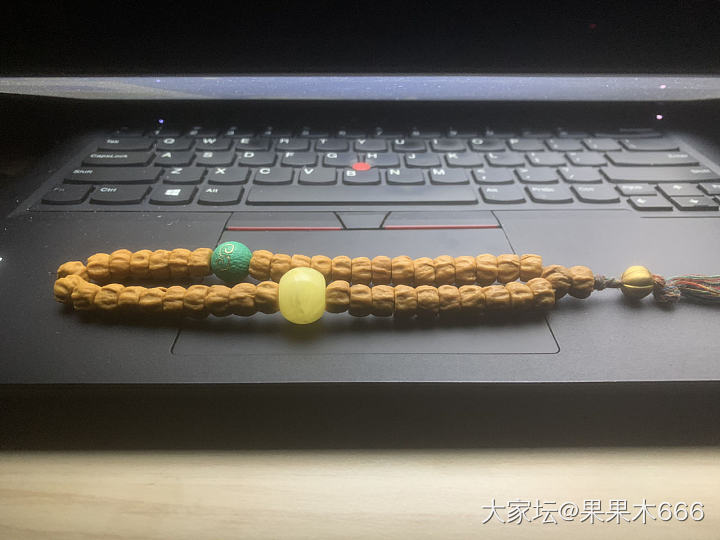 百香籽_菩提子