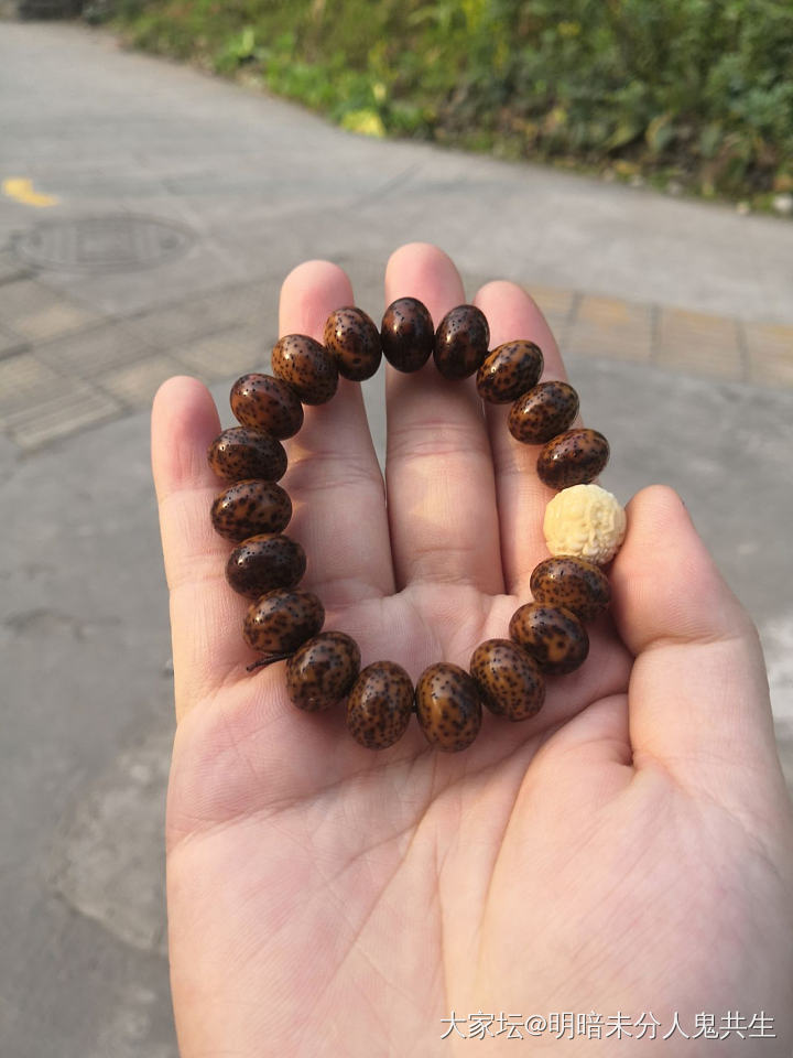 身边最久的串_菩提子