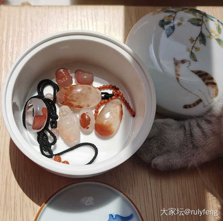 冰飘&猫😁_宠物玉髓玛瑙