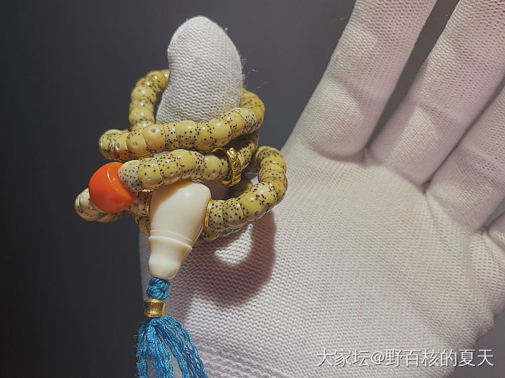 星月大肠_菩提子