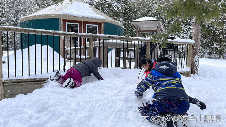 在营地里吃吃喝喝、玩雪、逗鼠喂鸟的日子_旅游