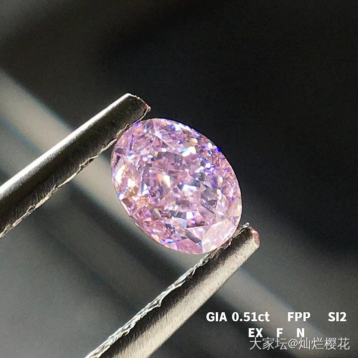 GIA  0.51ct  Fancy Pink Purple SI2  
半卡中..._彩钻