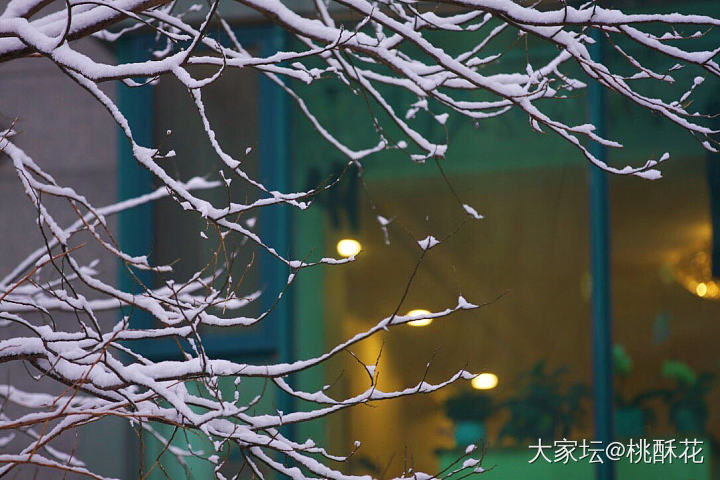 北京又下雪了❄️，不能辜负它啊，拍些雪景留个纪念吧。_景色