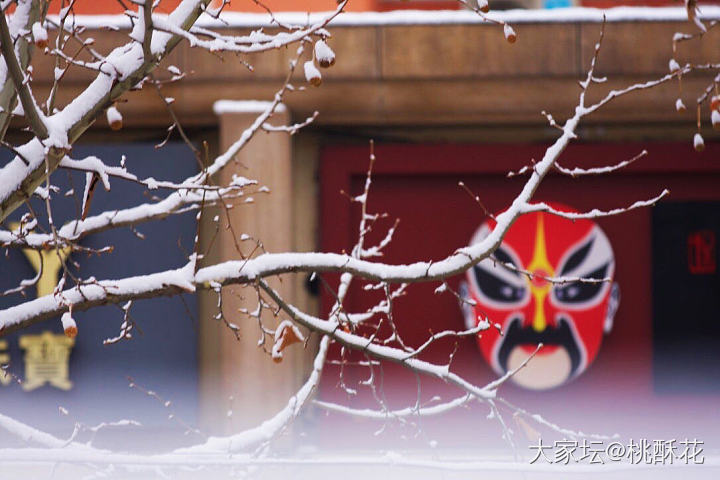 北京又下雪了❄️，不能辜负它啊，拍些雪景留个纪念吧。_景色